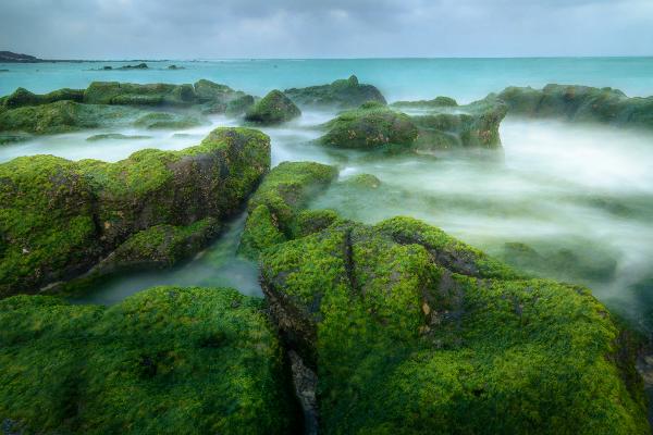 2017/12/6起開放春節機位